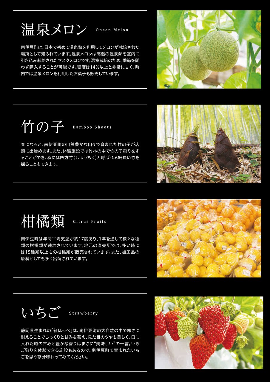 アクセス | 南伊豆町観光協会（Minami-izu Tourism Association）